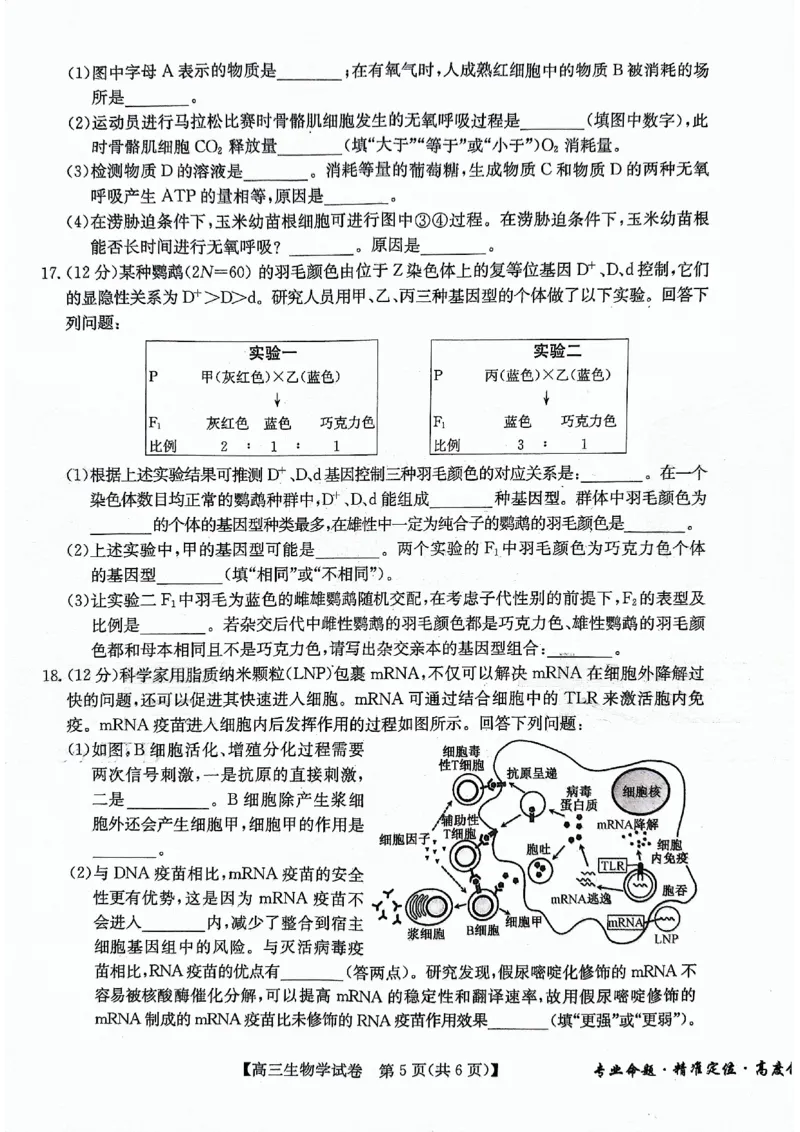 2024届安徽省合肥市高三下学期适应性联考生物试题_2024年5月_01按日期_12号_2024届安徽省合肥一中等校5月高考适应性联考