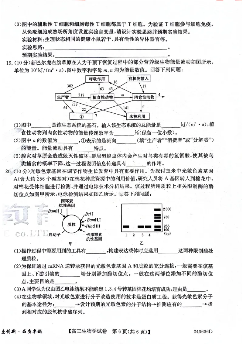 2024届安徽省合肥市高三下学期适应性联考生物试题_2024年5月_01按日期_12号_2024届安徽省合肥一中等校5月高考适应性联考