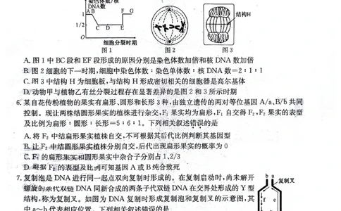 2024届安徽省合肥市高三下学期适应性联考生物试题_2024年5月_01按日期_12号_2024届安徽省合肥一中等校5月高考适应性联考