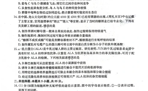 2024届安徽省合肥市高三下学期适应性联考生物试题_2024年5月_01按日期_12号_2024届安徽省合肥一中等校5月高考适应性联考