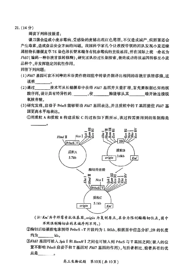 2023届福建省厦门市高三毕业班第二次质量检测丨生物(1)_2024年2月_022月合集_2023届福建省厦门市高三毕业班第二次质量检测全科