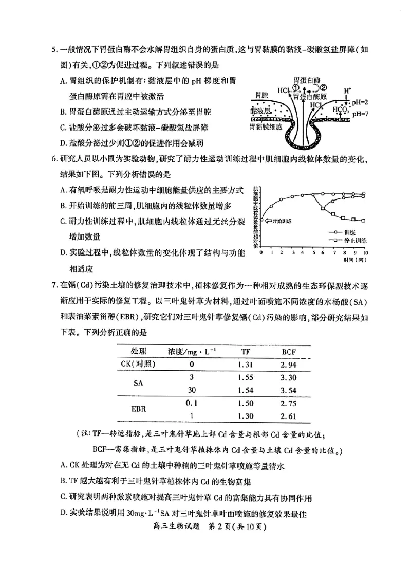 2023届福建省厦门市高三毕业班第二次质量检测丨生物(1)_2024年2月_022月合集_2023届福建省厦门市高三毕业班第二次质量检测全科
