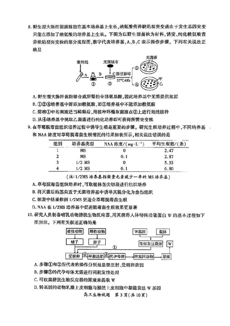 2023届福建省厦门市高三毕业班第二次质量检测丨生物(1)_2024年2月_022月合集_2023届福建省厦门市高三毕业班第二次质量检测全科