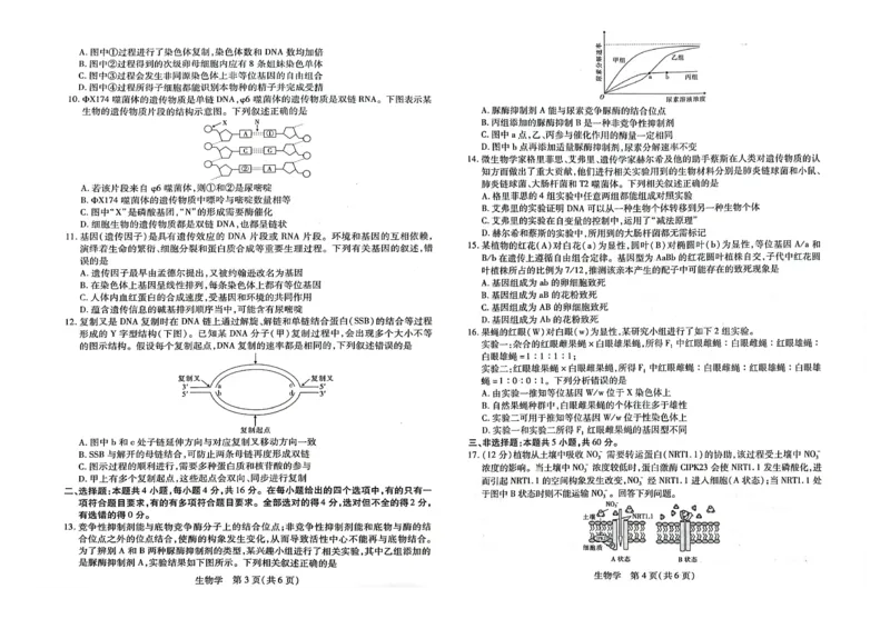 生物(1)_2023年10月_0210月合集_2024届江西省稳派联考高三上学期10月统一调研测试_江西省稳派联考2024届高三上学期10月统一调研测试生物