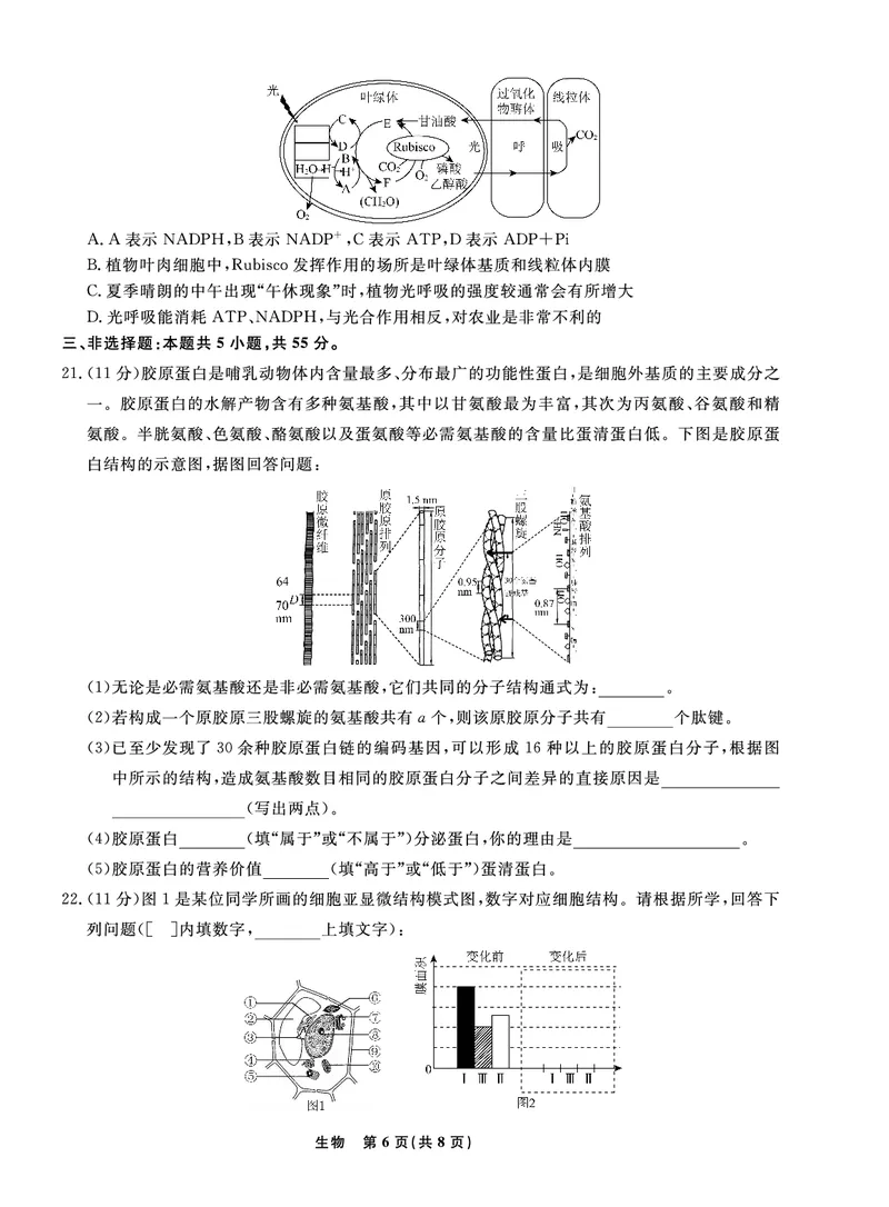 辽宁省名校联盟2022-2023学年高三9月联合考试生物试题(1)_2023年8月_028月合集_2023届辽宁省名校联盟高三上学期9月联考
