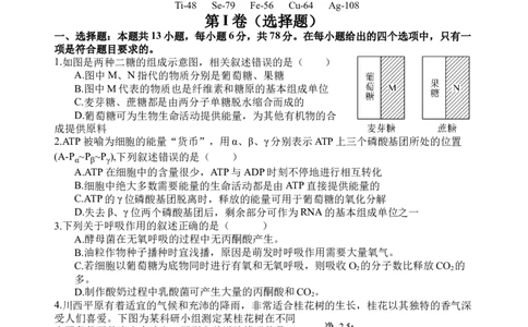 理综试题_2023年9月_01每日更新_8号_2024届四川省射洪中学高三上学期开学考试_四川省射洪中学2024届高三上学期开学考试理综