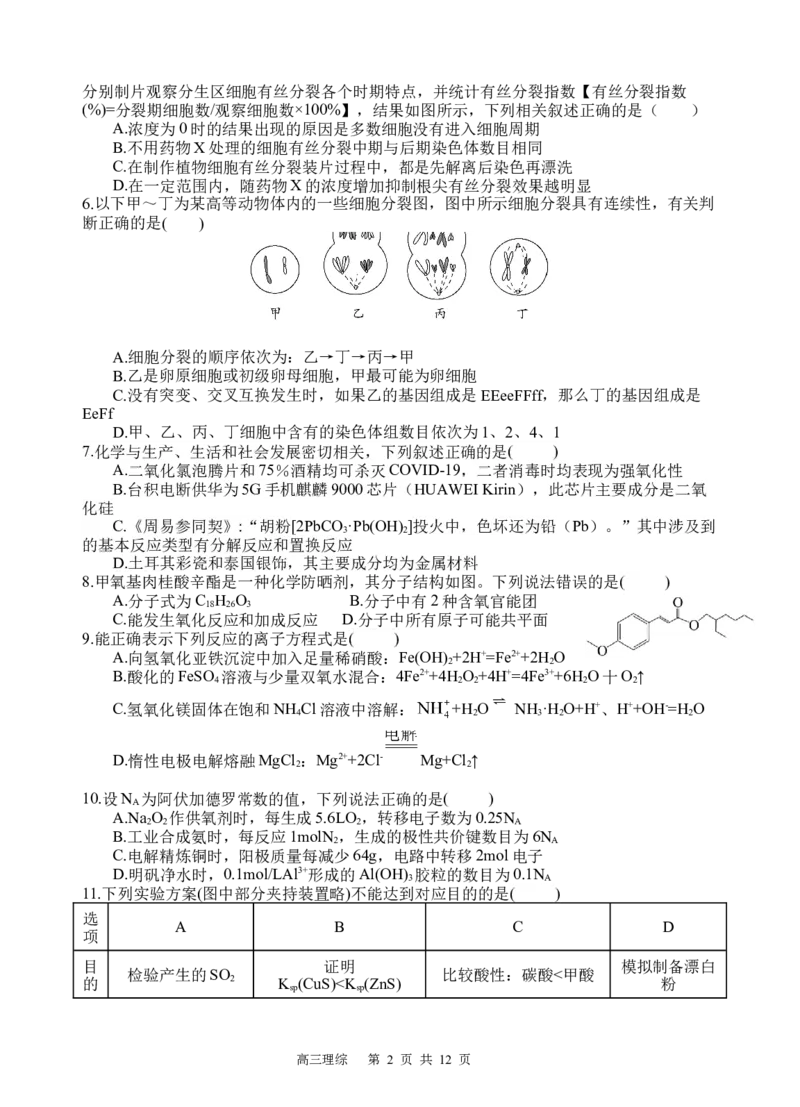 理综试题_2023年9月_01每日更新_8号_2024届四川省射洪中学高三上学期开学考试_四川省射洪中学2024届高三上学期开学考试理综