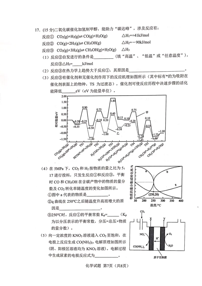 2024届广西柳州高中、南宁三中高三一轮复习诊断性联考（化学）_2024年2月_01每日更新_24号_2024届广西邕衡金卷柳州高中、南宁三中高三一轮复习诊断性联考