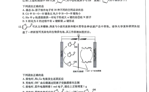 理科综合_2023年8月_01每日更新_17号_2024届天一大联考顶尖计划高中毕业班第一次考试_天一大联考顶尖计划2024届高中毕业班第一次考试理综