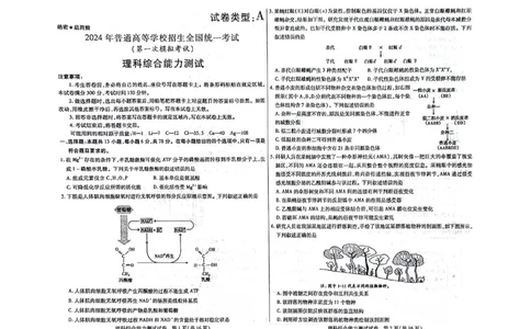 2024届内蒙古自治区包头市高三下学期一模理科综合试题_2024年3月_013月合集_2024届内蒙古自治区包头市高三下学期一模_2024届内蒙古自治区包头市高三下学期一模理科综合试题