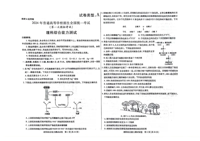 2024届内蒙古自治区包头市高三下学期一模理科综合试题_2024年3月_013月合集_2024届内蒙古自治区包头市高三下学期一模_2024届内蒙古自治区包头市高三下学期一模理科综合试题