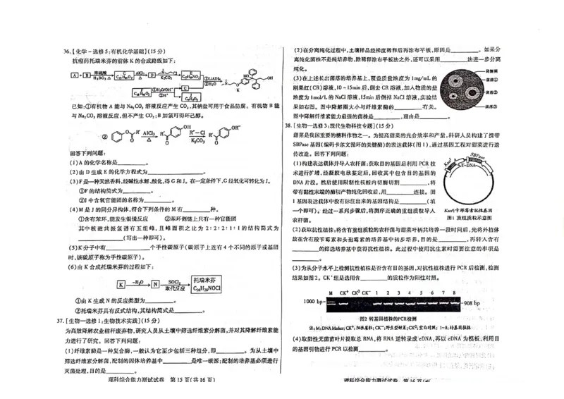 2024届内蒙古自治区包头市高三下学期一模理科综合试题_2024年3月_013月合集_2024届内蒙古自治区包头市高三下学期一模_2024届内蒙古自治区包头市高三下学期一模理科综合试题