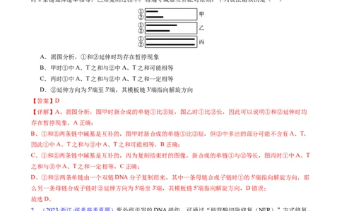专题08遗传的分子基础-五年（2019-2023）高考生物真题分项汇编（全国通用）（解析版）_赠送：2008-2024全套高考真题_高考生物真题_送高考生物五年真题(2019-2023)分项汇编（全国通用）