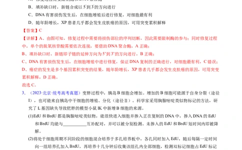 专题08遗传的分子基础-五年（2019-2023）高考生物真题分项汇编（全国通用）（解析版）_赠送：2008-2024全套高考真题_高考生物真题_送高考生物五年真题(2019-2023)分项汇编（全国通用）