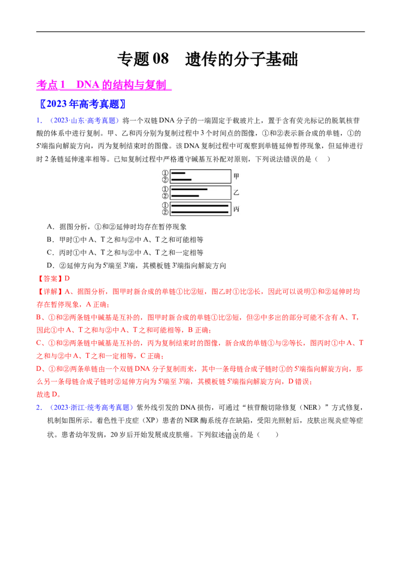 专题08遗传的分子基础-五年（2019-2023）高考生物真题分项汇编（全国通用）（解析版）_赠送：2008-2024全套高考真题_高考生物真题_送高考生物五年真题(2019-2023)分项汇编（全国通用）