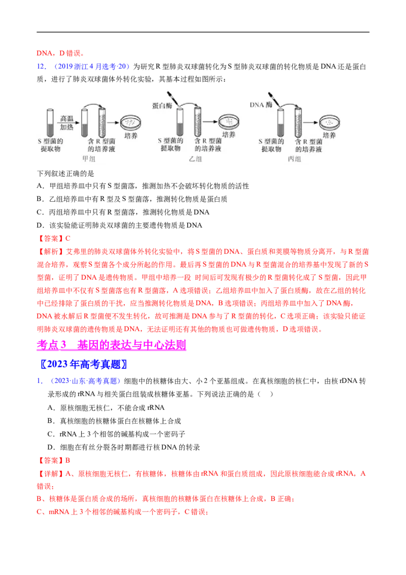 专题08遗传的分子基础-五年（2019-2023）高考生物真题分项汇编（全国通用）（解析版）_赠送：2008-2024全套高考真题_高考生物真题_送高考生物五年真题(2019-2023)分项汇编（全国通用）