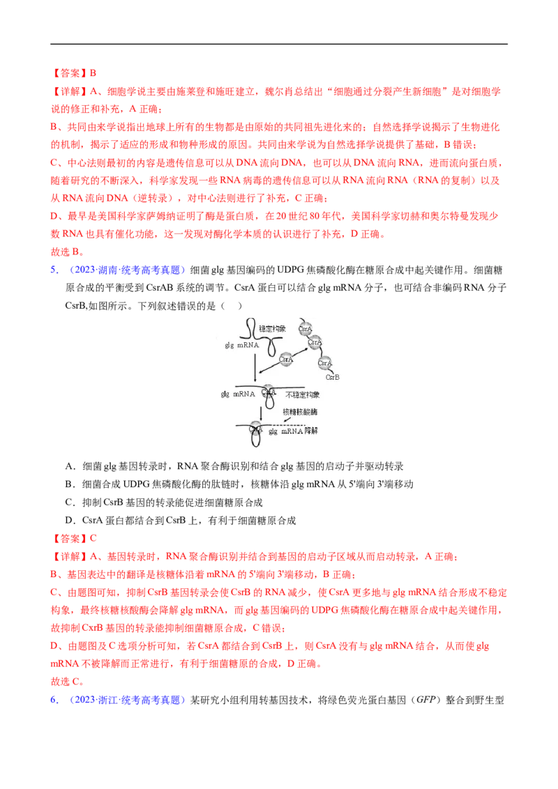 专题08遗传的分子基础-五年（2019-2023）高考生物真题分项汇编（全国通用）（解析版）_赠送：2008-2024全套高考真题_高考生物真题_送高考生物五年真题(2019-2023)分项汇编（全国通用）