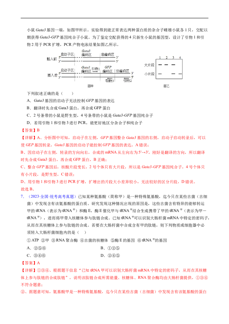 专题08遗传的分子基础-五年（2019-2023）高考生物真题分项汇编（全国通用）（解析版）_赠送：2008-2024全套高考真题_高考生物真题_送高考生物五年真题(2019-2023)分项汇编（全国通用）
