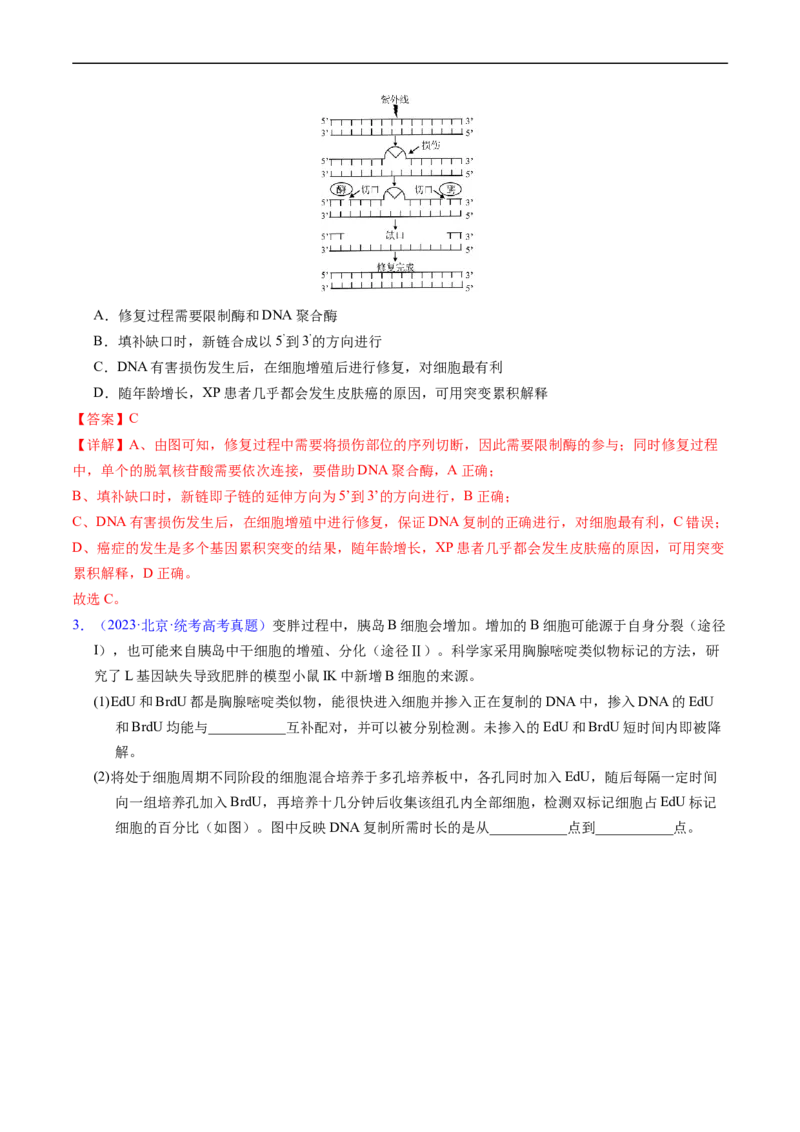 专题08遗传的分子基础-五年（2019-2023）高考生物真题分项汇编（全国通用）（解析版）_赠送：2008-2024全套高考真题_高考生物真题_送高考生物五年真题(2019-2023)分项汇编（全国通用）