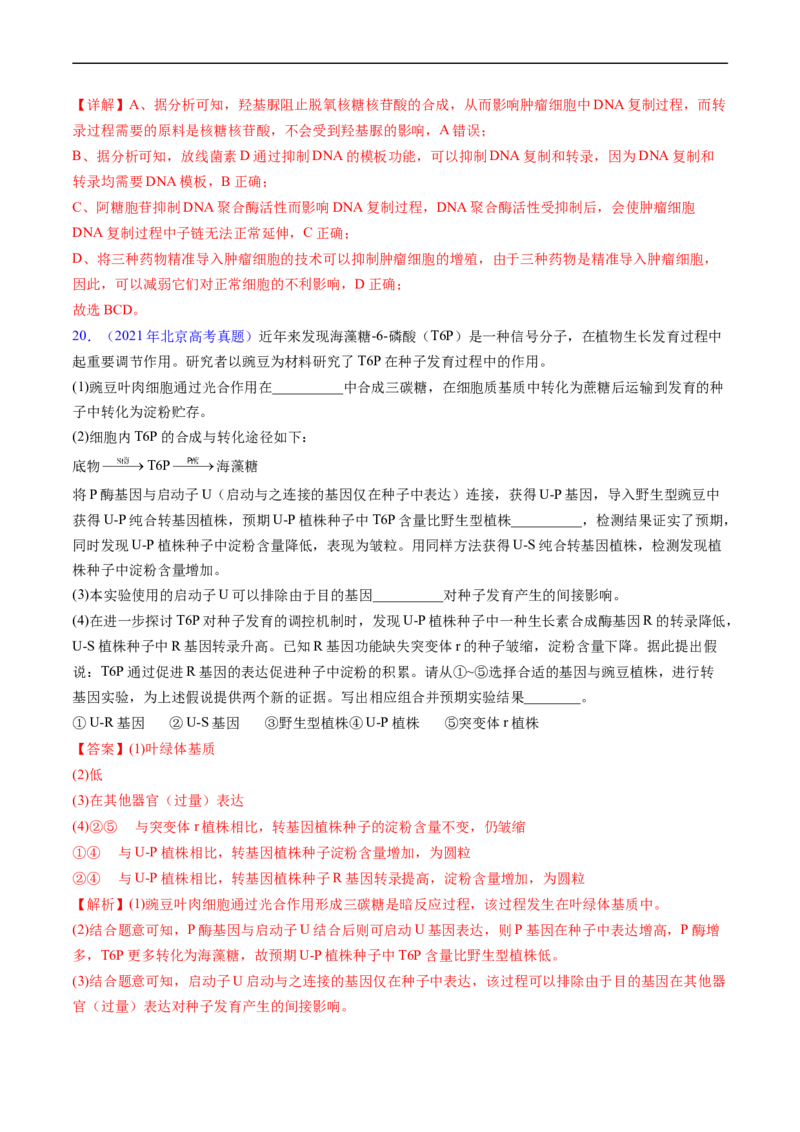 专题08遗传的分子基础-五年（2019-2023）高考生物真题分项汇编（全国通用）（解析版）_赠送：2008-2024全套高考真题_高考生物真题_送高考生物五年真题(2019-2023)分项汇编（全国通用）