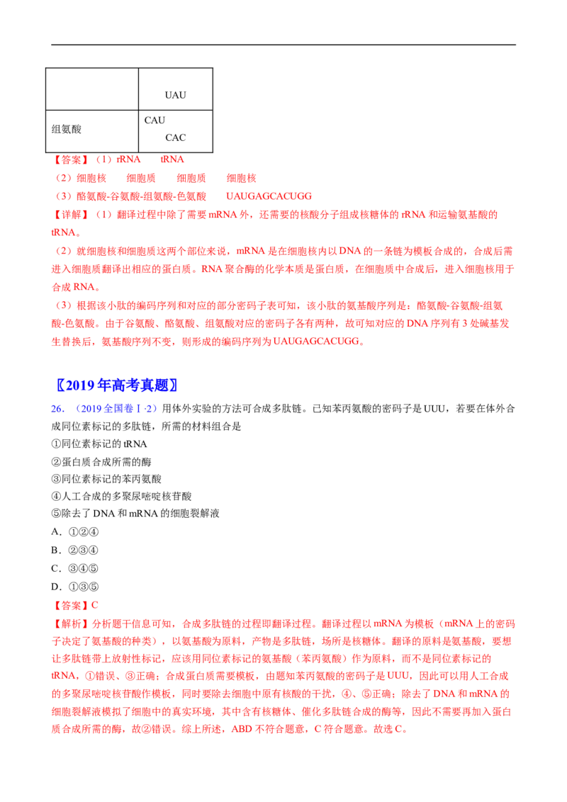 专题08遗传的分子基础-五年（2019-2023）高考生物真题分项汇编（全国通用）（解析版）_赠送：2008-2024全套高考真题_高考生物真题_送高考生物五年真题(2019-2023)分项汇编（全国通用）
