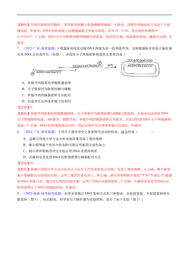 专题08遗传的分子基础-五年（2019-2023）高考生物真题分项汇编（全国通用）（解析版）_赠送：2008-2024全套高考真题_高考生物真题_送高考生物五年真题(2019-2023)分项汇编（全国通用）