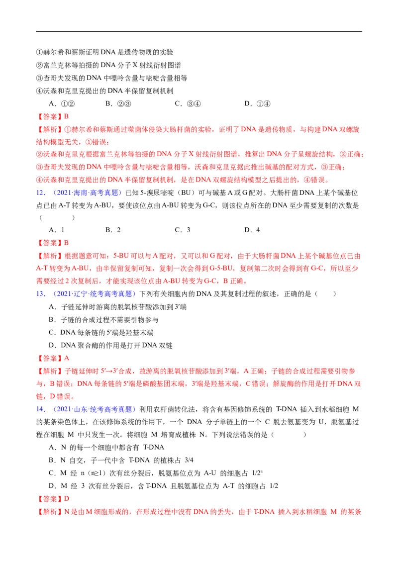 专题08遗传的分子基础-五年（2019-2023）高考生物真题分项汇编（全国通用）（解析版）_赠送：2008-2024全套高考真题_高考生物真题_送高考生物五年真题(2019-2023)分项汇编（全国通用）