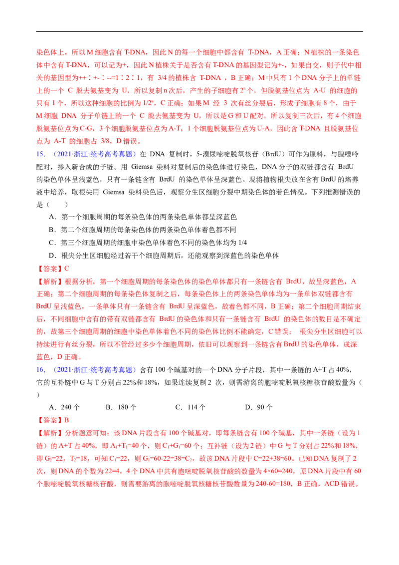 专题08遗传的分子基础-五年（2019-2023）高考生物真题分项汇编（全国通用）（解析版）_赠送：2008-2024全套高考真题_高考生物真题_送高考生物五年真题(2019-2023)分项汇编（全国通用）