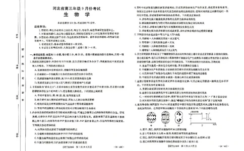 河北省2024届高三上学期9月百万金太阳联考（24-40C1)生物(1)_2023年9月_029月合集_2024届河北省高三上学期9月百万金太阳联考（24-40C1)