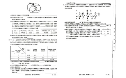河北省2024届高三上学期9月百万金太阳联考（24-40C1)生物(1)_2023年9月_029月合集_2024届河北省高三上学期9月百万金太阳联考（24-40C1)