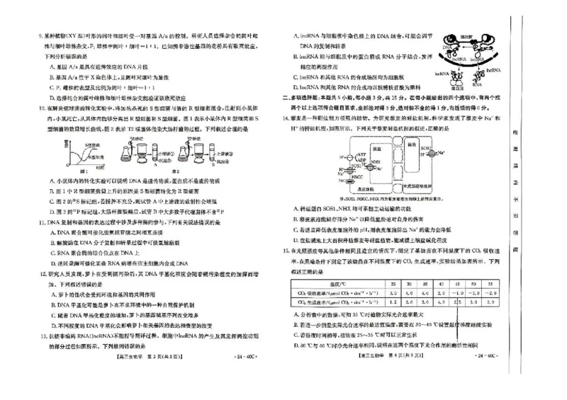 河北省2024届高三上学期9月百万金太阳联考（24-40C1)生物(1)_2023年9月_029月合集_2024届河北省高三上学期9月百万金太阳联考（24-40C1)