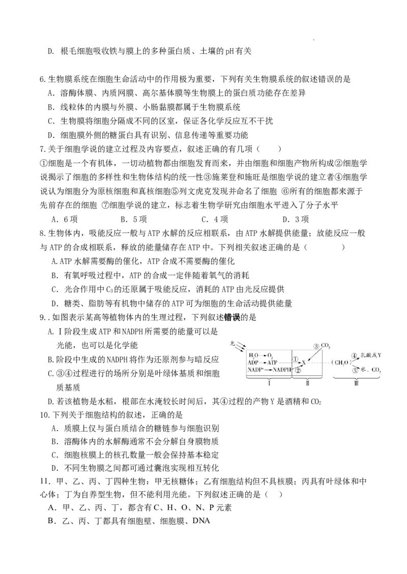 高三生物_2023年8月_01每日更新_20号_2024届江苏省灌南高级中学高三上学期暑期检测（二）_江苏省灌南高级中学2024届高三上学期暑期检测（二）生物