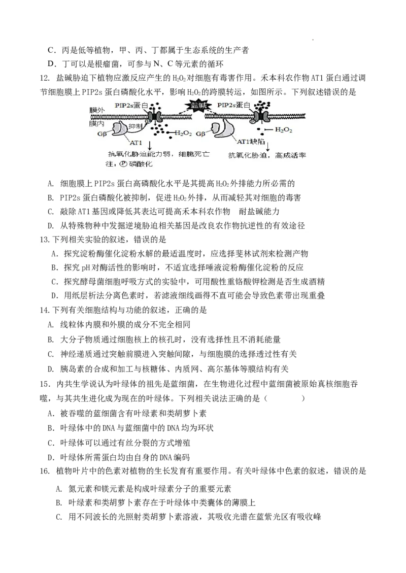 高三生物_2023年8月_01每日更新_20号_2024届江苏省灌南高级中学高三上学期暑期检测（二）_江苏省灌南高级中学2024届高三上学期暑期检测（二）生物
