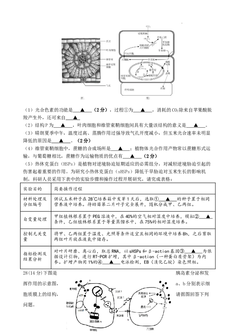 高三生物_2023年8月_01每日更新_20号_2024届江苏省灌南高级中学高三上学期暑期检测（二）_江苏省灌南高级中学2024届高三上学期暑期检测（二）生物