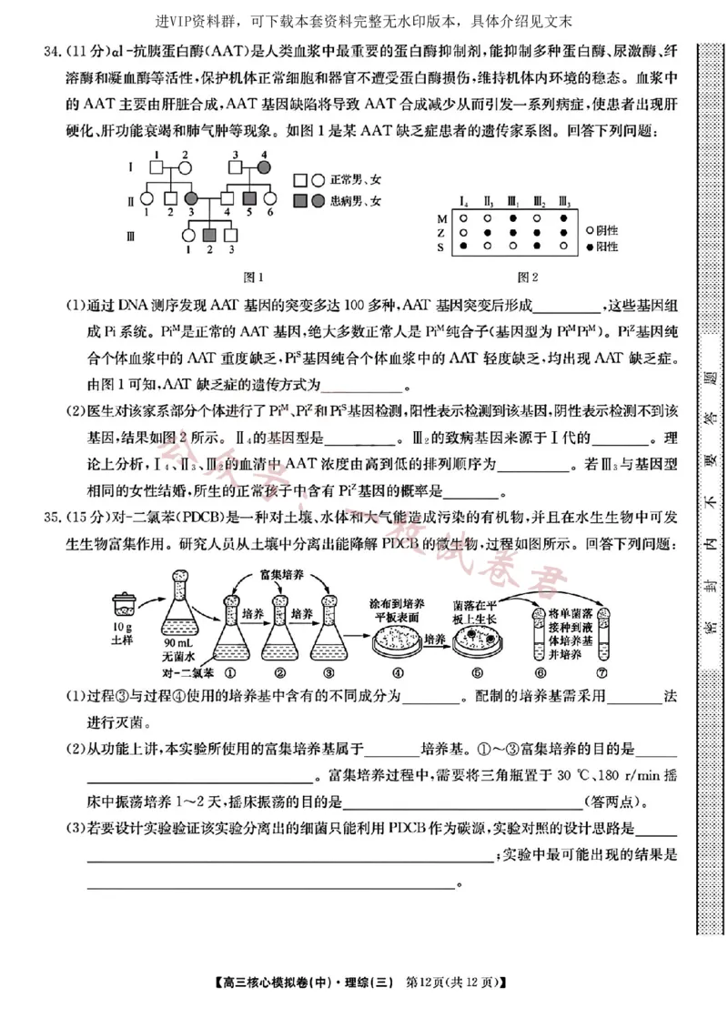2023届新高考高三核心模拟卷（中）理综(2)_2024年2月_022月合集_2023届新高考九师联盟高三核心模拟卷（中）全科含答案