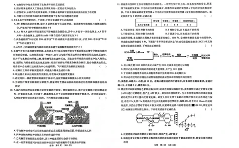 江西智学联盟体2023-2024学年高三第一次联考生物(1)_2023年8月_028月合集_2024届江西省智学联盟体高三上学期第一次联考