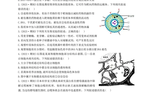 江苏省南京市第九中学2023-2024学年高三上学期8月暑期质量调研生物(1)_2023年8月_028月合集_2024届江苏省南京市第九中学高三8月暑期质量调研