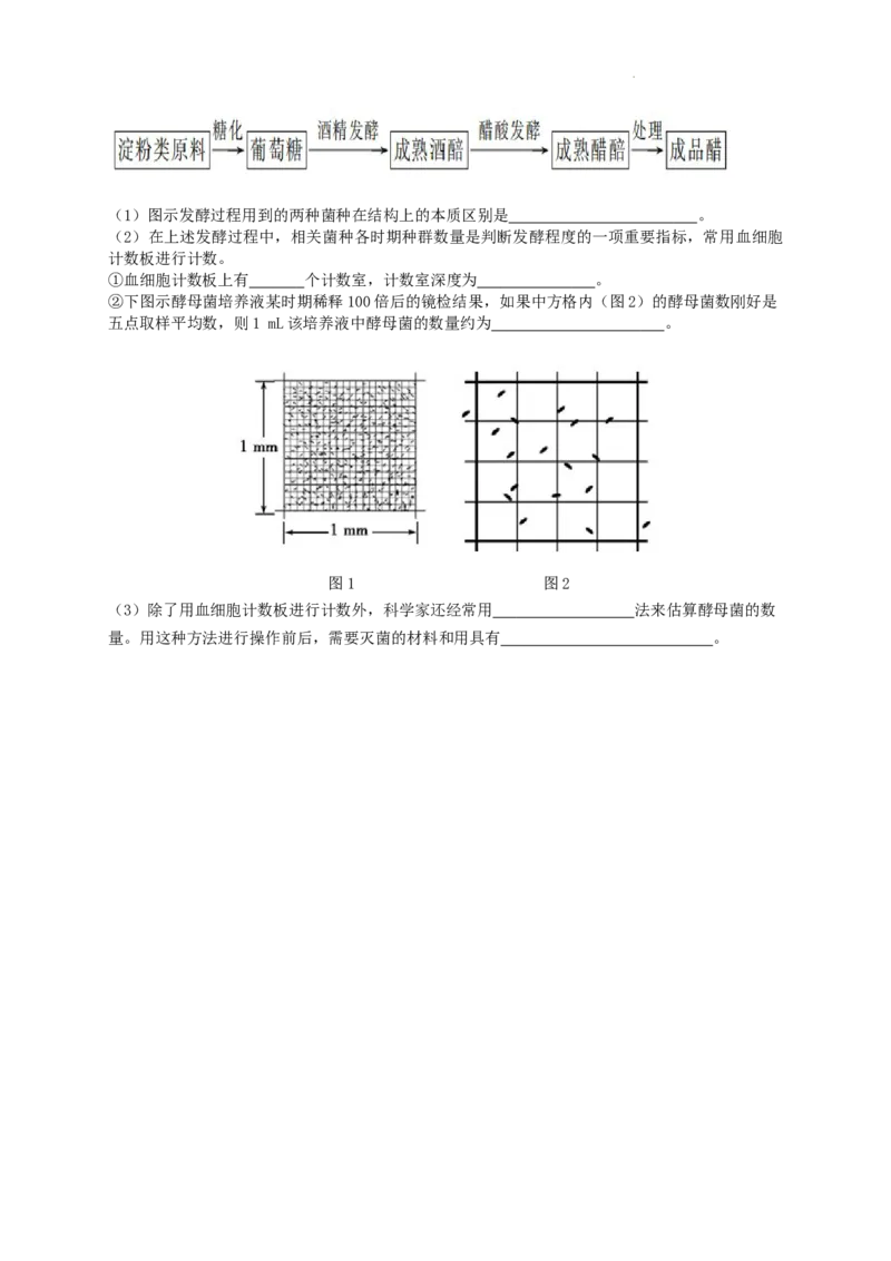 江苏省南京市第九中学2023-2024学年高三上学期8月暑期质量调研生物(1)_2023年8月_028月合集_2024届江苏省南京市第九中学高三8月暑期质量调研
