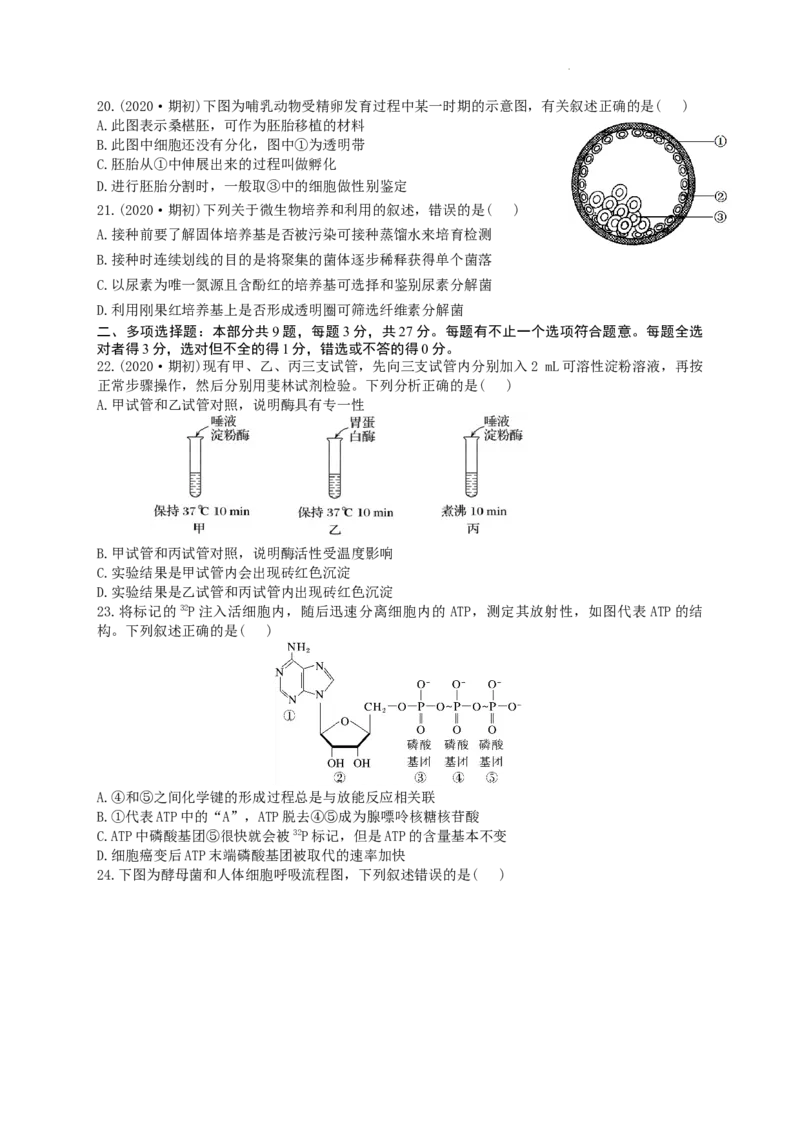 江苏省南京市第九中学2023-2024学年高三上学期8月暑期质量调研生物(1)_2023年8月_028月合集_2024届江苏省南京市第九中学高三8月暑期质量调研