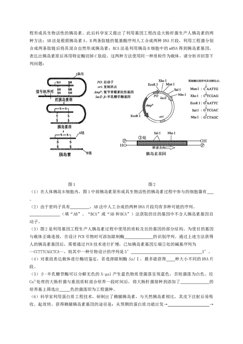 江苏省南京市第九中学2023-2024学年高三上学期8月暑期质量调研生物(1)_2023年8月_028月合集_2024届江苏省南京市第九中学高三8月暑期质量调研
