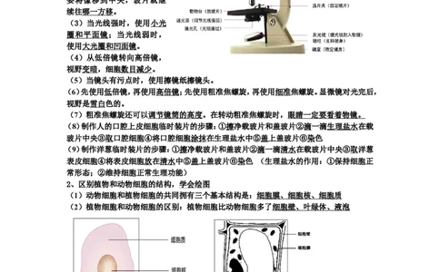 品优教学中考生物知识点总结(完整版)_赠送小初高学霸笔记等_小初高知识点_小初高知识点_中考生物知识点