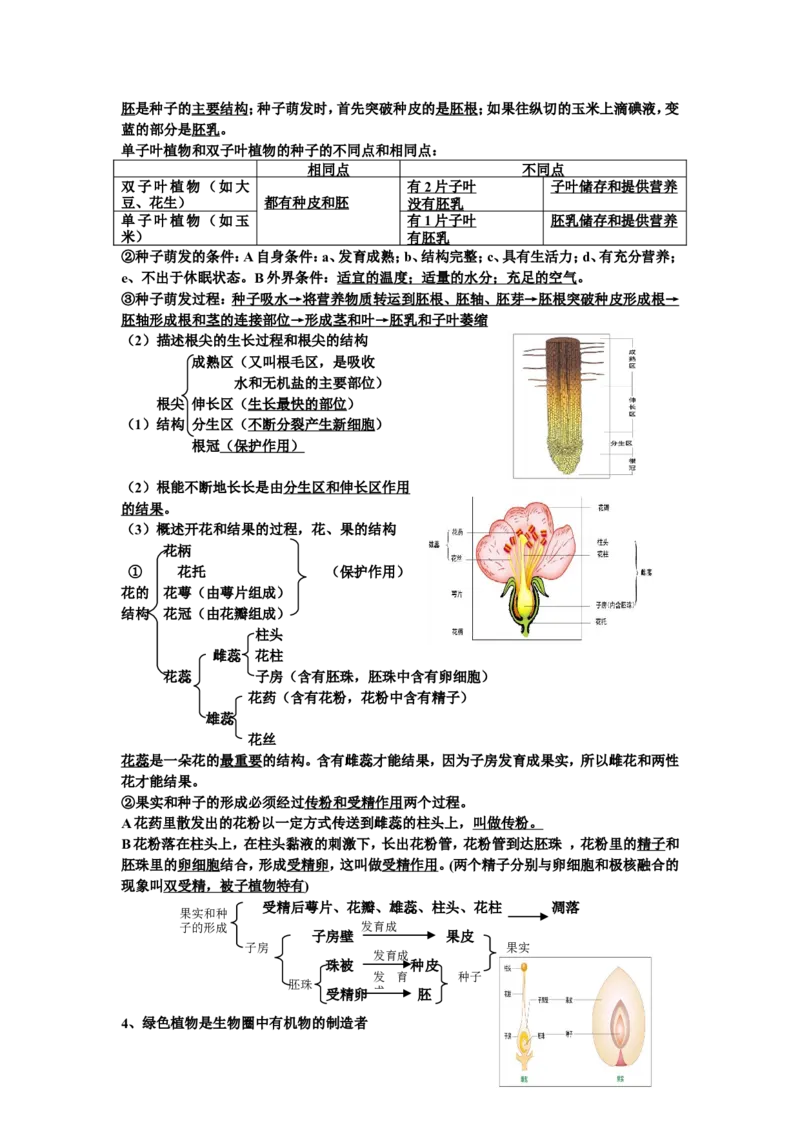 品优教学中考生物知识点总结(完整版)_赠送小初高学霸笔记等_小初高知识点_小初高知识点_中考生物知识点