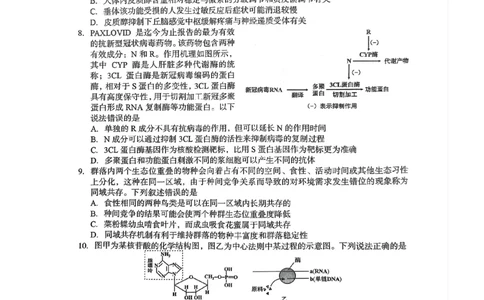 2023届福建省龙岩市高三下学期3月教学质量检测生物试题(1)_2024年2月_022月合集_2023届福建省龙岩市高三3月教学质量检测3.2-3