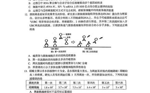 2023届福建省龙岩市高三下学期3月教学质量检测生物试题(1)_2024年2月_022月合集_2023届福建省龙岩市高三3月教学质量检测3.2-3
