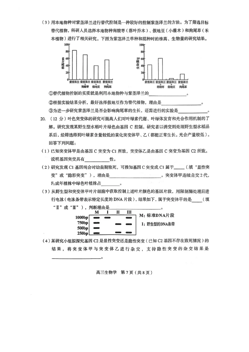 2023届福建省龙岩市高三下学期3月教学质量检测生物试题(1)_2024年2月_022月合集_2023届福建省龙岩市高三3月教学质量检测3.2-3