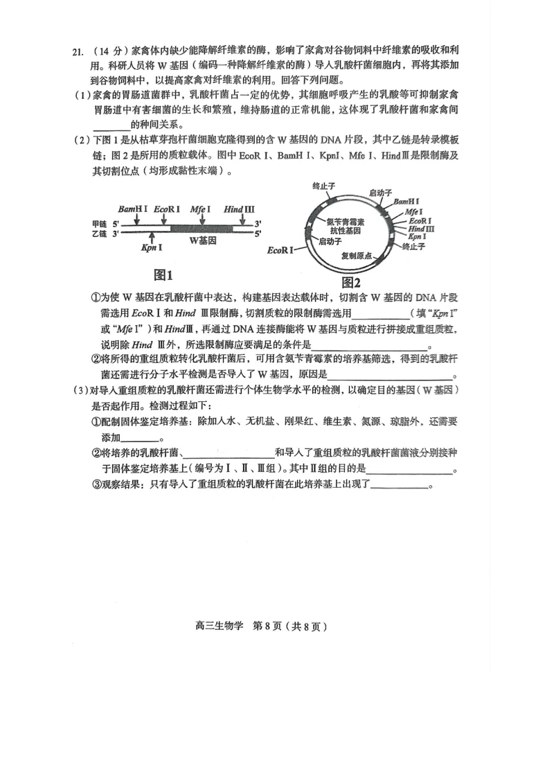 2023届福建省龙岩市高三下学期3月教学质量检测生物试题(1)_2024年2月_022月合集_2023届福建省龙岩市高三3月教学质量检测3.2-3