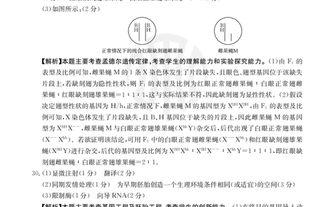 生物04C答案_2023年8月_01每日更新_29号_2024届山西省高三金太阳8月联考（24-04C）_山西2024届高三金太阳8月联考（24-04C）生物
