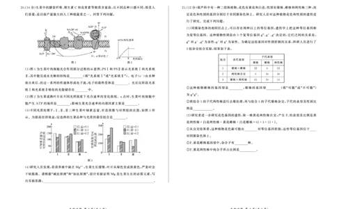 江西百师联盟高三(一轮复习考)-生物试题+答案(1)_2023年10月_01每日更新_3号_2024届江西省百师联盟高三上学期一轮复习联考试题