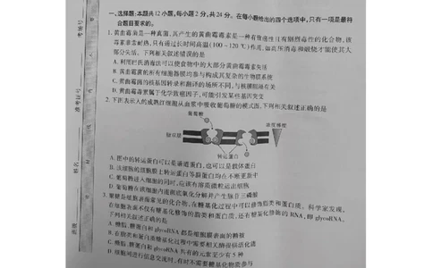生物试卷_2023年8月_01每日更新_30号_2024届江西省稳派上进教育高三上学期8月入学摸底考试_江西省稳派上进2023-2024学年高三上学期入学摸底考试生物试题