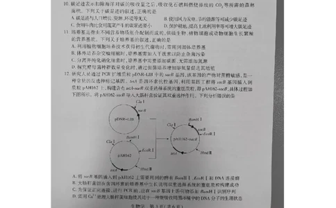 生物试卷_2023年8月_01每日更新_30号_2024届江西省稳派上进教育高三上学期8月入学摸底考试_江西省稳派上进2023-2024学年高三上学期入学摸底考试生物试题